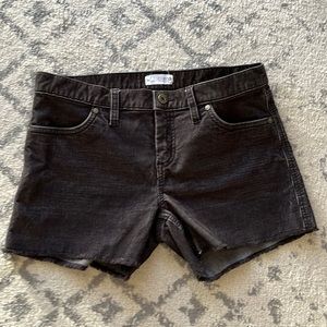 Carve Designs Oahu Shorts  4" Inseam